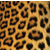 L'avatar di Leopardo