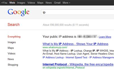Google implementa ora una funzione che restituisce l'indirizzo IP dell'utente 
