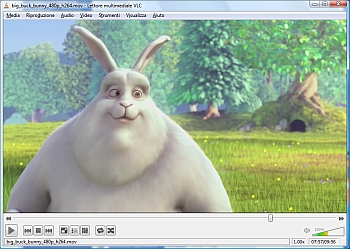 VLC media player